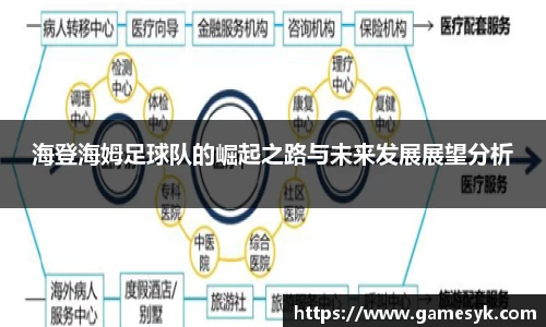 海登海姆足球队的崛起之路与未来发展展望分析